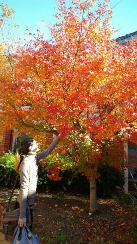 Australian Home Away @ Box Hill 2 Bedroom - Accommodation Fremantle 13