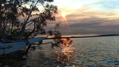 Lake Weyba Noosa Lodge & Kangaroos - Accommodation Fremantle 40