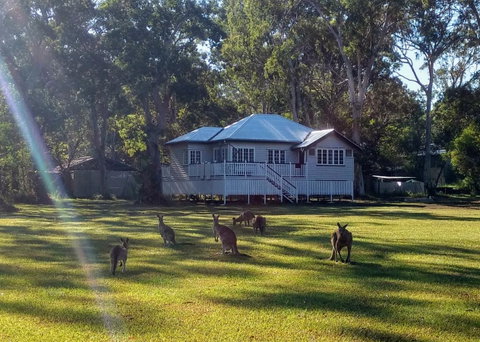 Lake Weyba Noosa Lodge & Kangaroos - Accommodation Fremantle 0