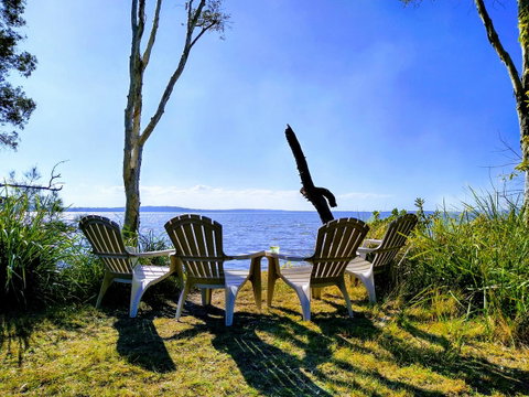 Lake Weyba Noosa Lodge & Kangaroos - Accommodation Fremantle 44