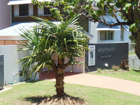 Whale Watch Ocean Beach Resort - Accommodation Fremantle 15