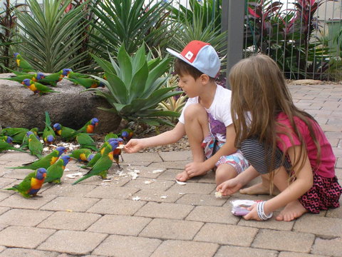 Island Leisure Resort - Accommodation Fremantle 25