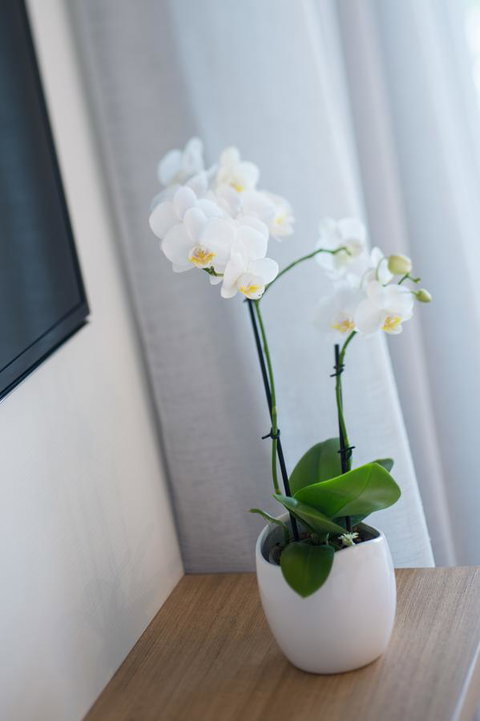 Heart Hotel And Gallery Whitsundays - Accommodation Fremantle 28
