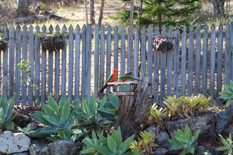 The Hideaway Agnes Water (Adults Only) - Accommodation Fremantle 40