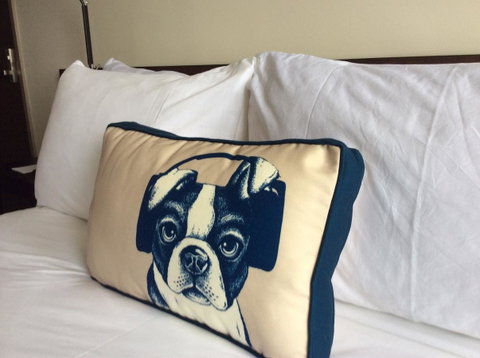 Hyatt Regency Brisbane - Accommodation Fremantle 23