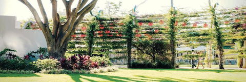 Vine Apartments South Brisbane - Accommodation Fremantle 19