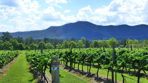 Winmark Wines - Accommodation Fremantle 1