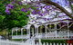 Wiss House Bed & Breakfast - thumb 2