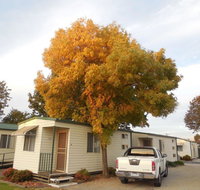 Wodonga Caravan  Cabin Park - Accommodation Fremantle