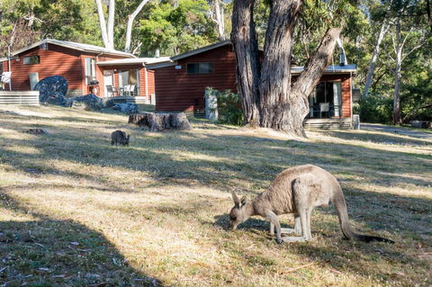Wonderland Cottages - Accommodation Fremantle 1