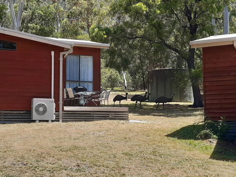 Wonderland Cottages - Accommodation Fremantle 3