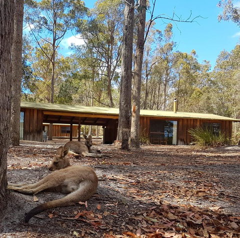 Woodbine Park Eco Cabins - Accommodation Fremantle 2