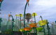 Yarrawonga Holiday Park - thumb 0