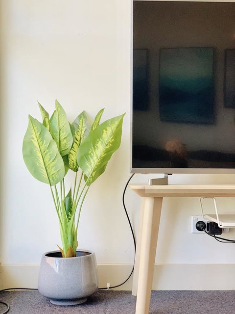 ZEN Homes On Collins - Accommodation Fremantle 3