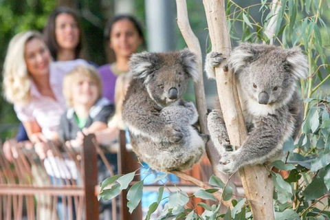 A 3BR Apt Next To Melbourne Zoo FREE Parking - Accommodation Fremantle 2