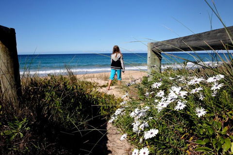 Absolute Beachfront Mollymook - Accommodation Fremantle 4