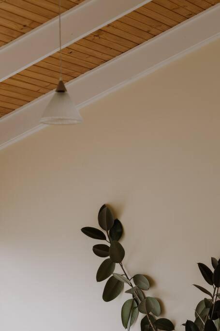 Amarela Haus - Calming Retreat Within Oceans Reach - Accommodation Fremantle 1