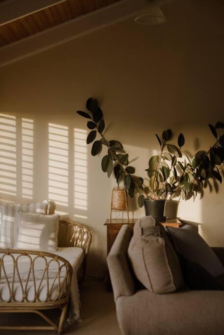 Amarela Haus - Calming Retreat Within Oceans Reach - Accommodation Fremantle 2