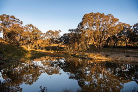 Amethyst - 1 Bed With Hot Tub - Kundalini Lodge - Accommodation Fremantle 3