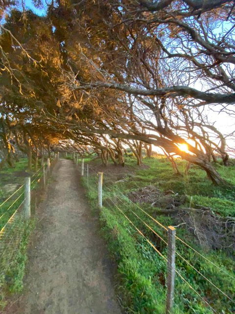 Anglesea Rivergums - Accommodation Fremantle 3