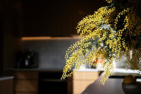 Architectural Gem In Central Red Hill - Accommodation Fremantle 2