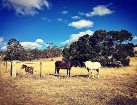 Architecturally Designed Rural Retreat - Accommodation Fremantle 4