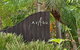 Azabu Retreat & Spa - thumb 2