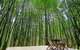 Azabu Retreat & Spa - thumb 1