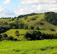 Maleny Springs Farm - Accommodation Fremantle