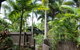 Cassawong Cottages - thumb 4