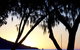 Maggies Beachfront Apartment 13 - thumb 4