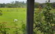 Hay Point Country BnB - thumb 6