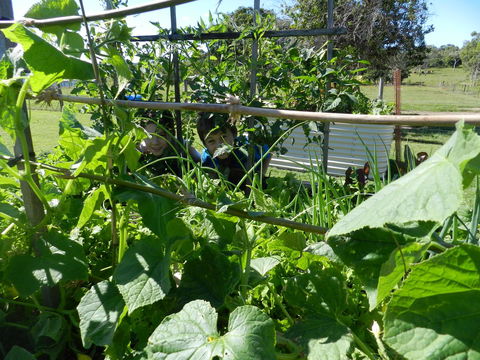 Hay Point Country BnB - Accommodation Fremantle 17