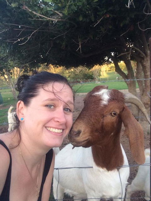 Hay Point Country BnB - Accommodation Fremantle 13