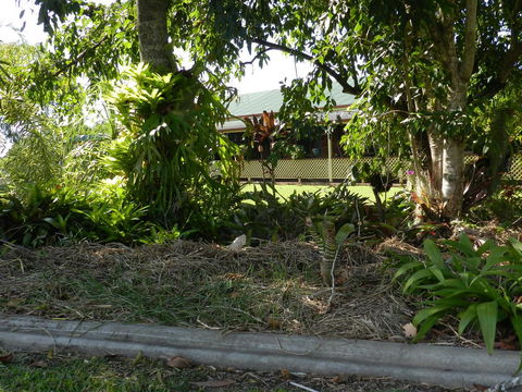 Hay Point Country BnB - Accommodation Fremantle 23