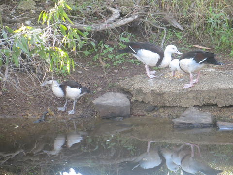 Hay Point Country BnB - Accommodation Fremantle 22