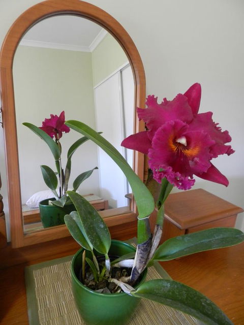 Hay Point Country BnB - Accommodation Fremantle 10