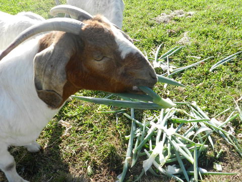 Hay Point Country BnB - Accommodation Fremantle 15