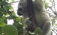 The Mini Manor On Mandalay - thumb 5