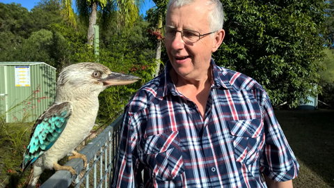 Magnetic Island Bed And Breakfast - Accommodation Fremantle 33