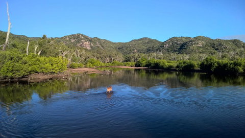 Magnetic Island Bed And Breakfast - Accommodation Fremantle 8