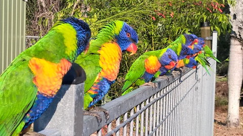 Magnetic Island Bed And Breakfast - Accommodation Fremantle 6