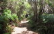 King Island Accommodation Cottages - thumb 12