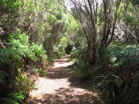 King Island Accommodation Cottages - Accommodation Fremantle 12