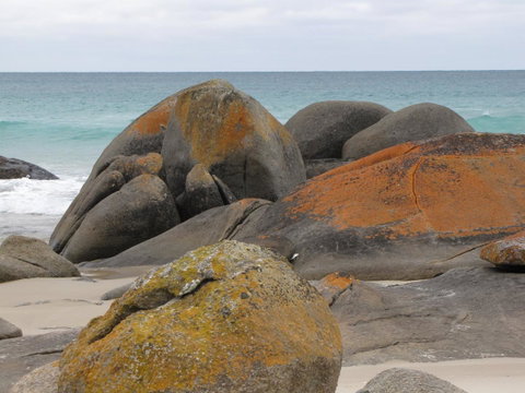 King Island Accommodation Cottages - Accommodation Fremantle 40
