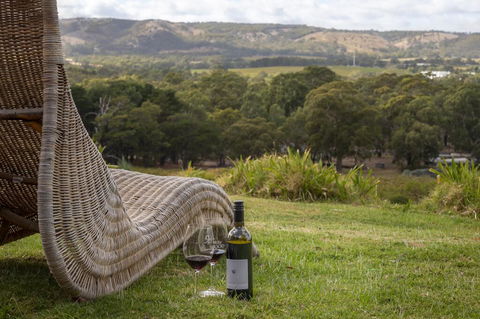 131 Your Vineyard Home In The Heart Of The Vale - Accommodation Fremantle 0