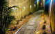 Caba Beach Condo - Bring Your Board ! Cute Cabin, Walk To The Beach! 3 Night Minimum Stay - thumb 4
