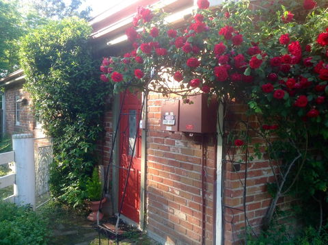 A Country Barn Retreat - Accommodation Fremantle 2