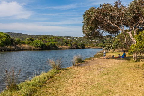A River Bed Cottage - Accommodation Fremantle 3