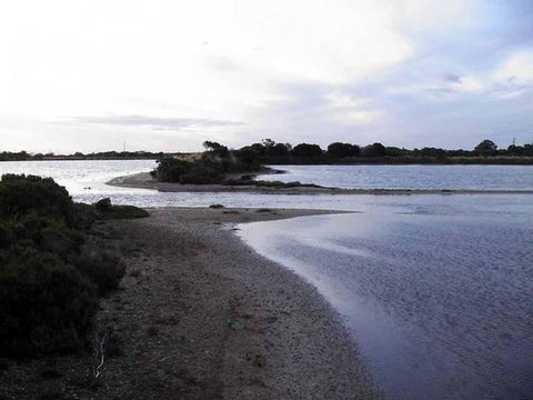 Absolute Waterfront - Accommodation Fremantle 1